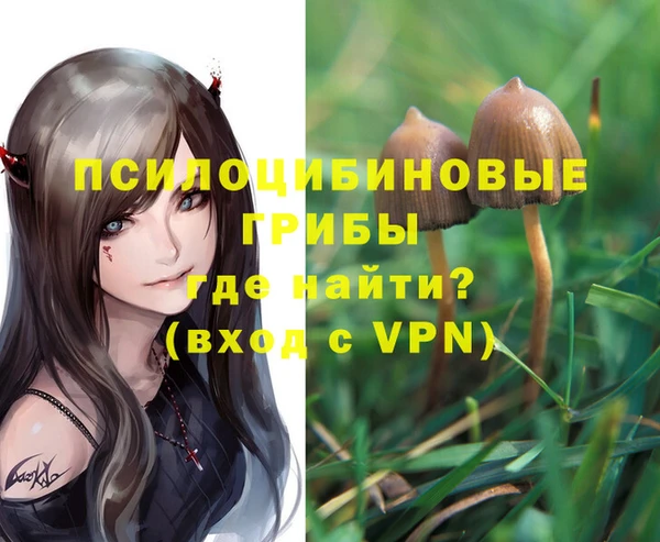 бутират Беломорск