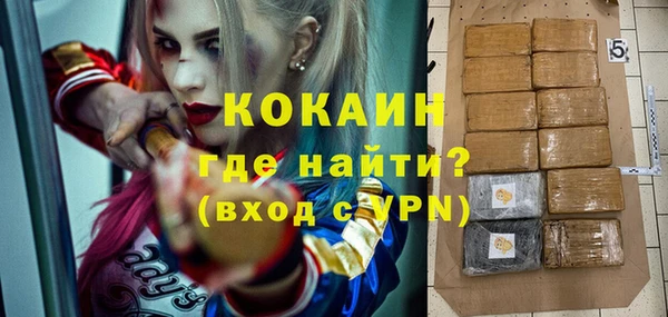 гашик Белокуриха
