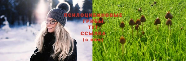 винт Белоозёрский