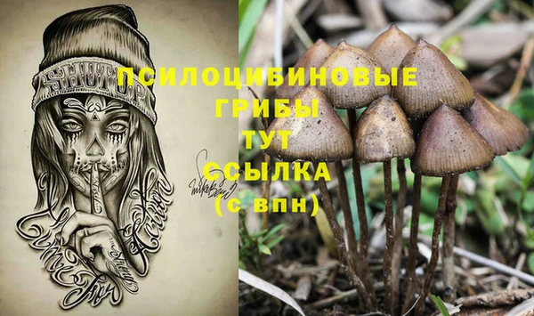 винт Белоозёрский