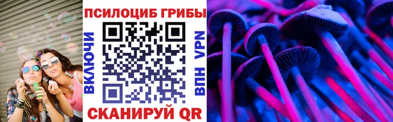OMG tor  Сланцы  Псилоцибиновые грибы Cubensis 