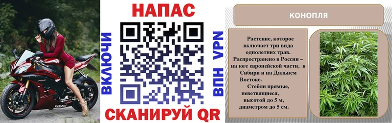 Конопля VHQ  Сланцы 